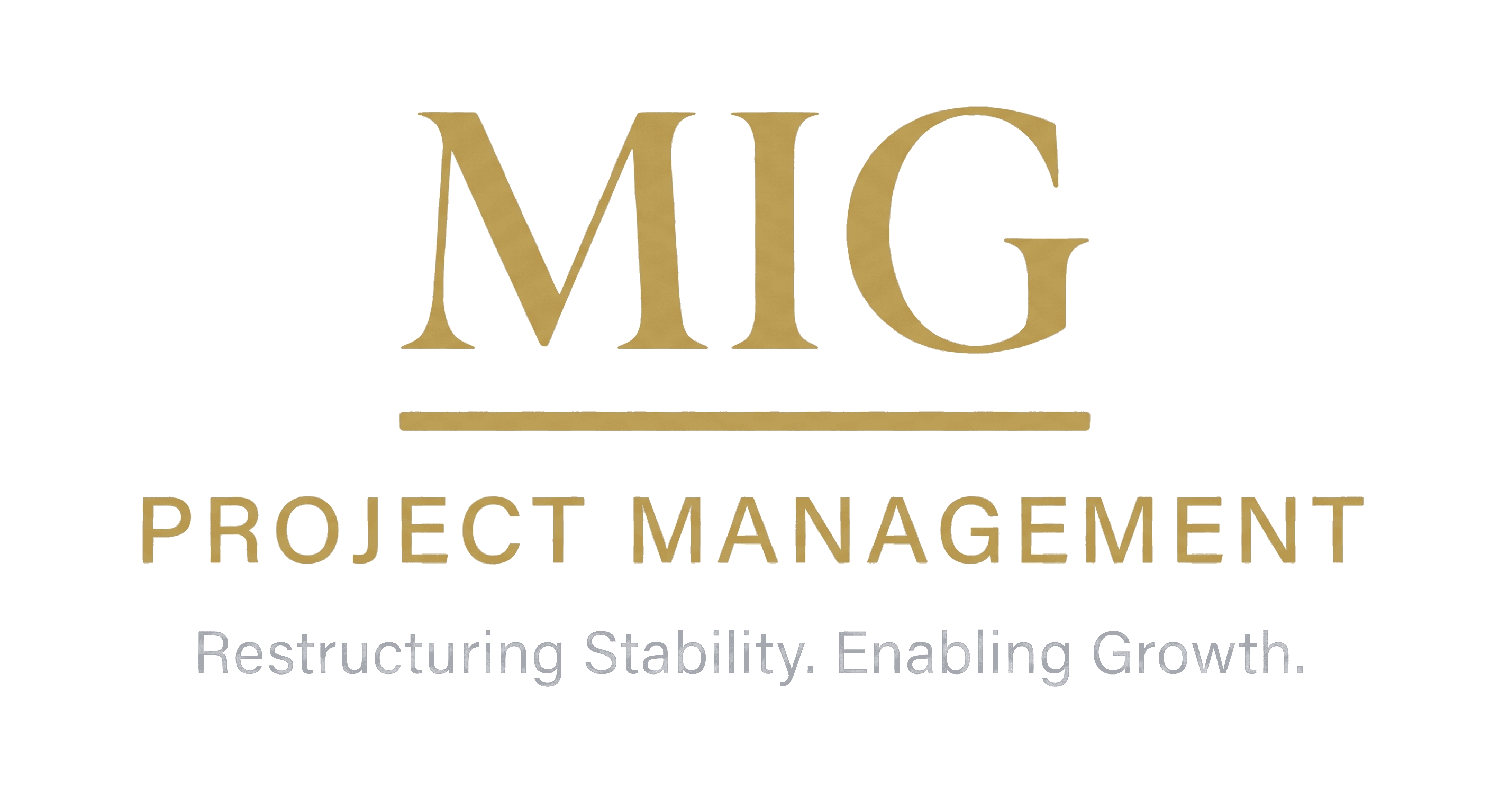 MIG Project Management logo