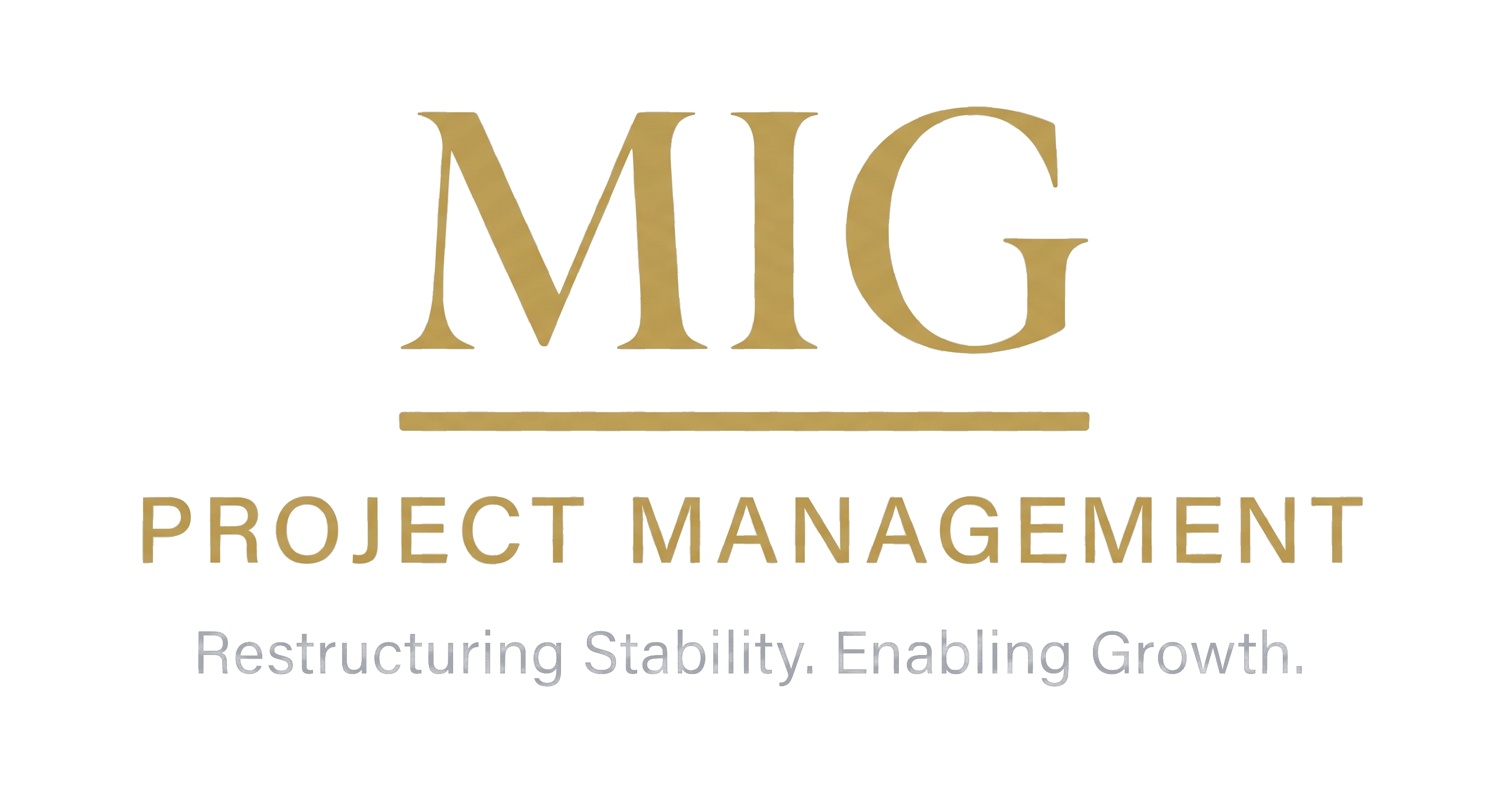 MIG Project Management logo